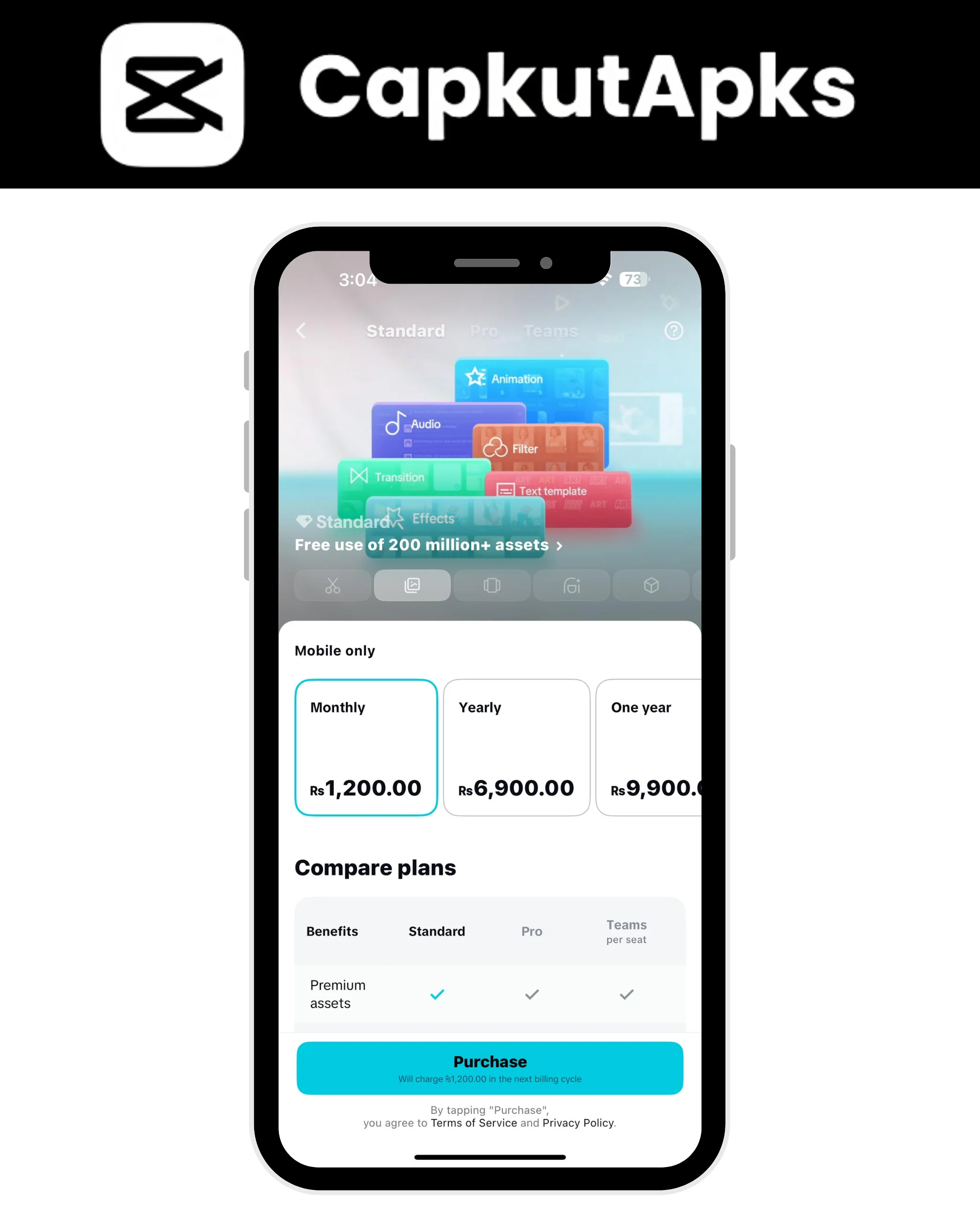 Start Subscription of CapCut Pro